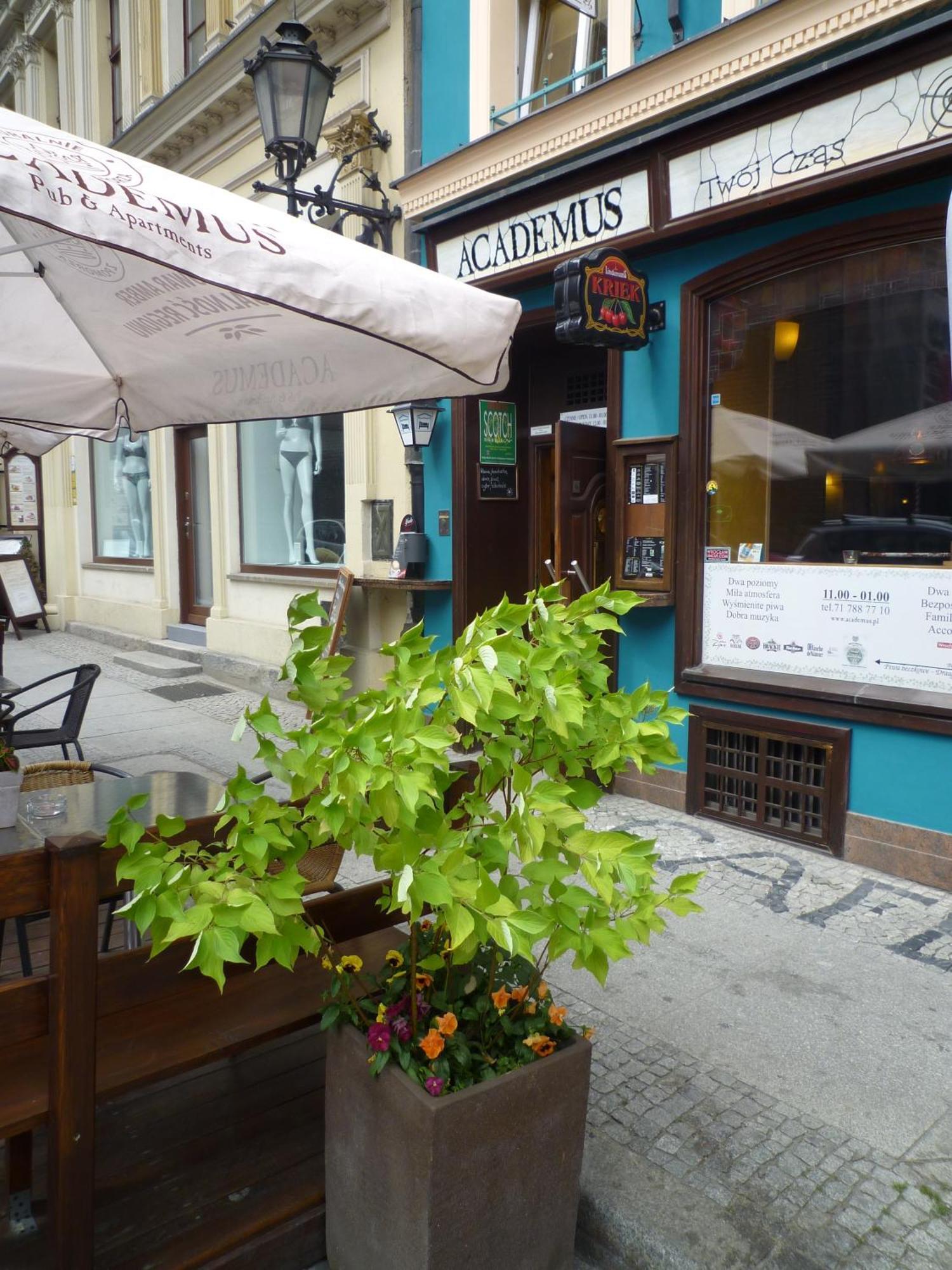 Academus Pub & Guest House Breslávia Exterior foto